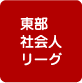 東部社会人リーグ